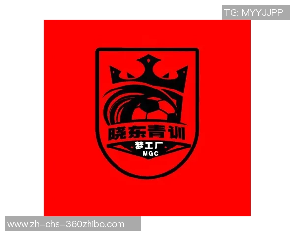 中国足球改革新征程：重塑青训体系与职业联赛发展路径探讨